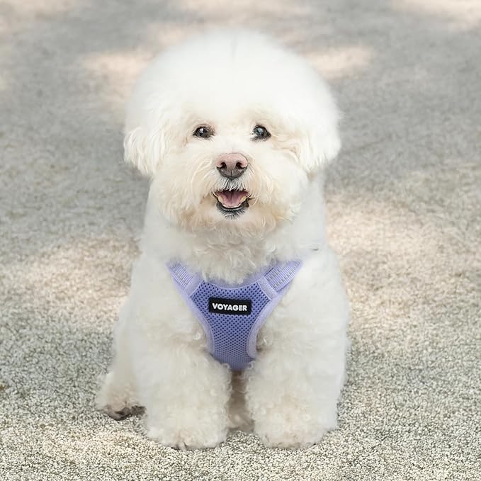 Best Pet Supplies Voyager Mesh Dog Breathable Harness Reflective Stitching, All Weather Adjustable for Walking Training, or Running - Heavy Duty & Durable, Harness (Lavender), M