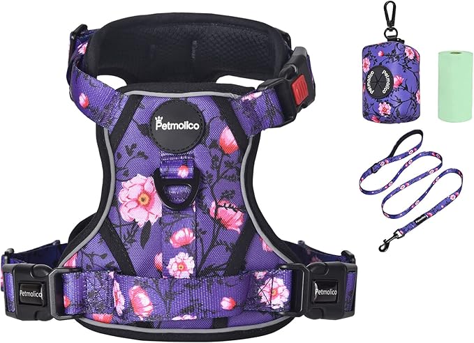 Petmolico No Pull Dog Harness Set with Leash Attachment Easy Control Handle Reflective Harness Vest Small Breed, Puppy Vest and Leash Set with Poop Bag Holder, Small - Purple Peach