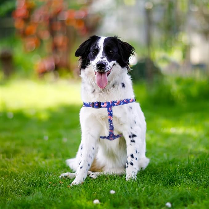 PUPTECK No Pull Dog Harness Soft Adjustable Basic Nylon Step in Puppy Vest Outdoor Walking with ID Tag, American Flag, L