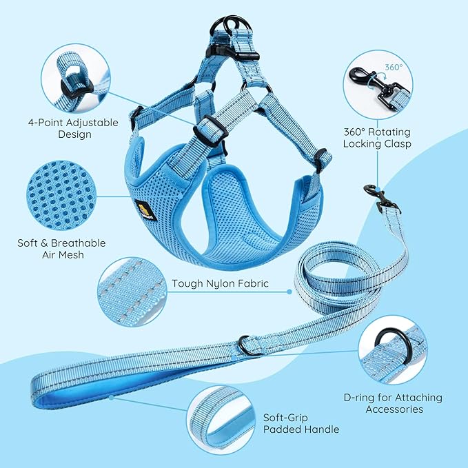 BELLA & PAL Adjustable Step-in Dog Harness, Puppy No-Pull Vest with Leash Set for XS/Small & Medium Dog, Breathable All-Weather Mesh, Reflective Strip, Secure Hook & Loop, Buckle Closure