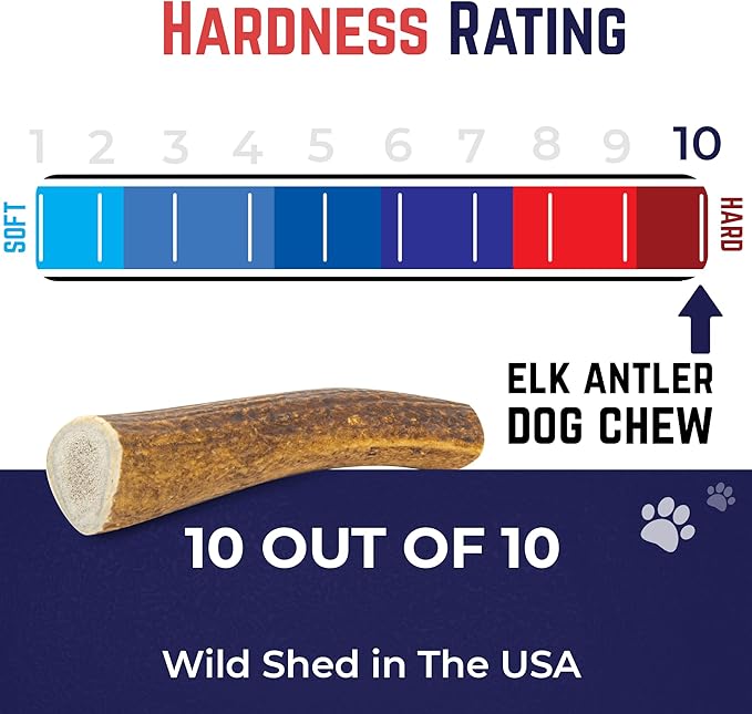 Devil Dog Pet Co. Elk Antlers for Dogs, Petite 3.5"+, 6 Pack, Grade A Long Lasting Chew for Aggressive Chewers, Premium USA Naturally Shed Antler – Healthy, No Odor, Durable Dog Chew