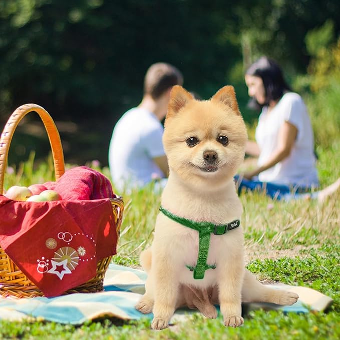 PUPTECK No Pull Dog Harness Soft Adjustable Basic Nylon Step in Puppy Vest Outdoor Walking with ID Tag, Blackish Green, XS