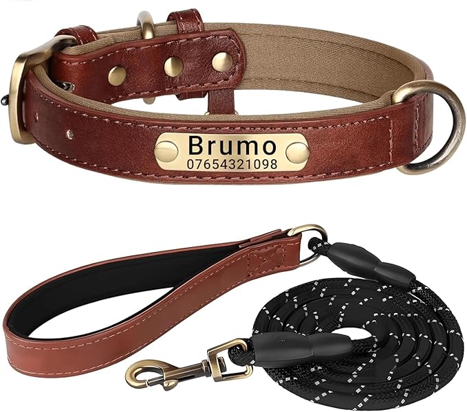 Leather Dog Collar Personalised and Leash Set, Personalized with Soft Padded Design Heavy Duty Featuring Custom Engraved Name Plate for Small Medium and Large Dogs