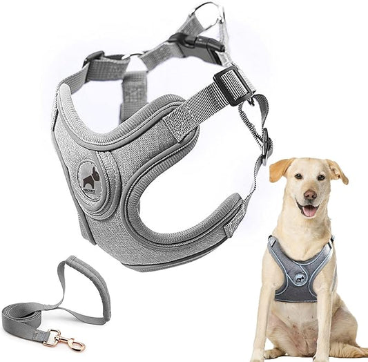 Dog Harness with Leash Set, No Pull Adjustable Step in Dog Collars Harness with Breathable Padded Vest Harness for Small Medium Large Dogs Training and Running(L, Gray)