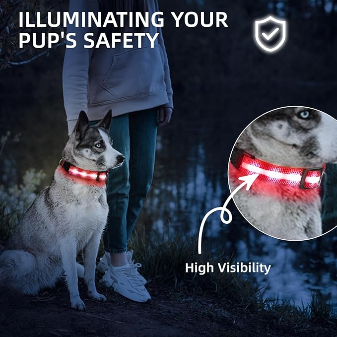 LED Dog Collar for Small Dogs Cats - Fully Waterproof & Adjustable Glow Collar - USB-C Rechargeable for Night Walking, Safety - Flashing Lighted Collar for Dogs(Red,S)