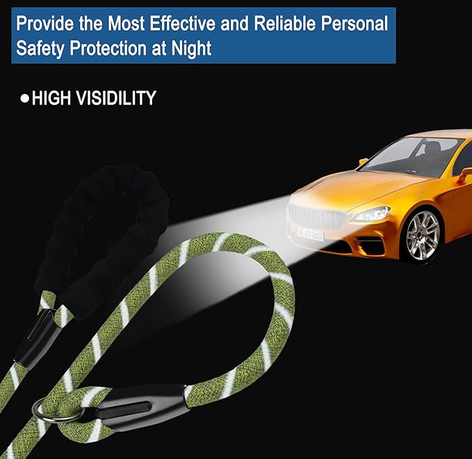 6 FT Heavy Duty Dog Leash, Durable Premium Quality Strong Training Rope Slip Leash with Comfortable Padded Handle and Highly Reflective Threads for Small Medium and Large Dogs, (Blue Green)
