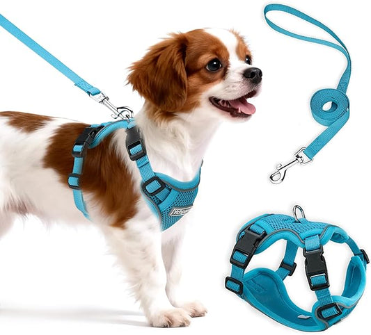 Small Dog Harness and Leash Set, Reflective Soft Breathable Mesh Vest, 3 Buckles, Adjustable Neck and Chest,Step in Dog Harness for Walking, Running, Training, Turquoise, M