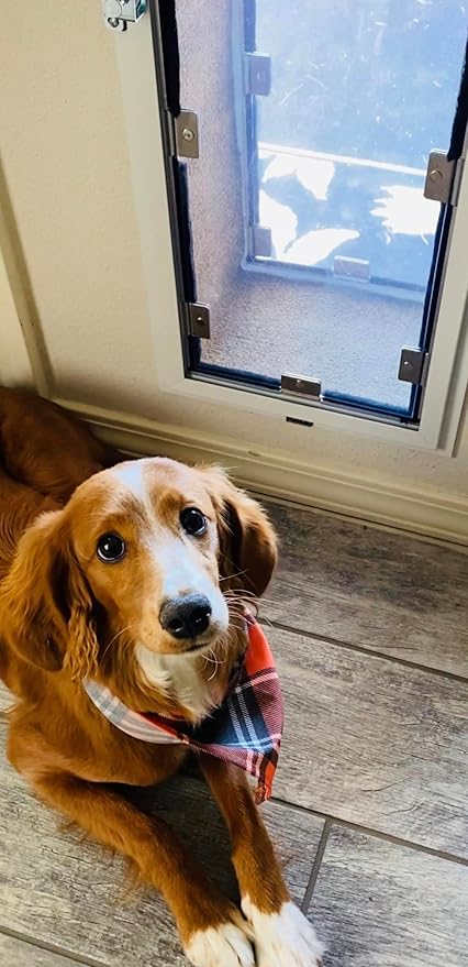 Wall Model | Cat & Dog Doors | Adjustable Tunnel Fits Up to 10" Wide Walls | Energy Efficient Double Vinyl Flaps | Locking Security Cover | Skilled Install Required | Steel Corners | Hale Pet Door