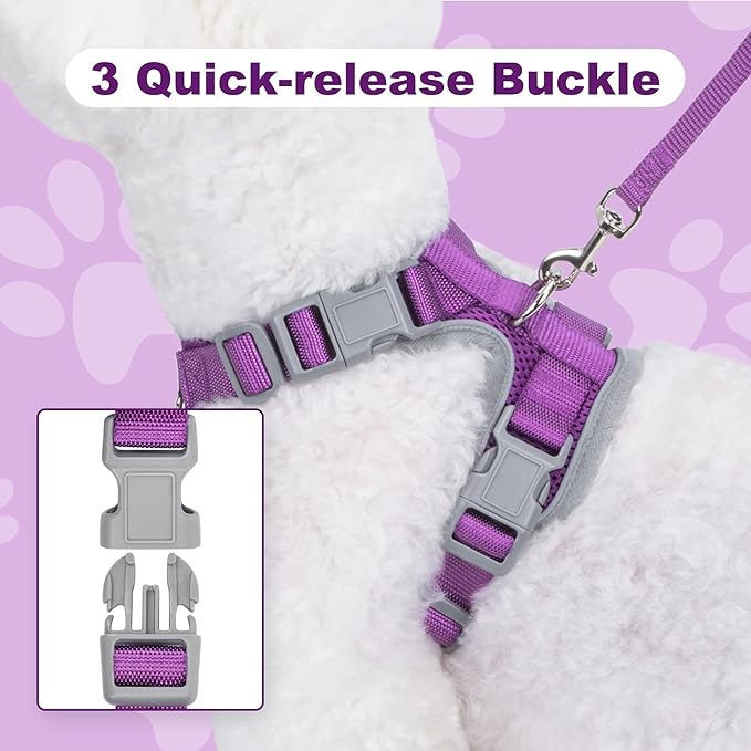 Small Dog Harness and Leash Set, No Pull Adjustable Pet Harness for Small Dogs, Breathable Mesh Rflective Dog Vest Harness (Purple, XS)
