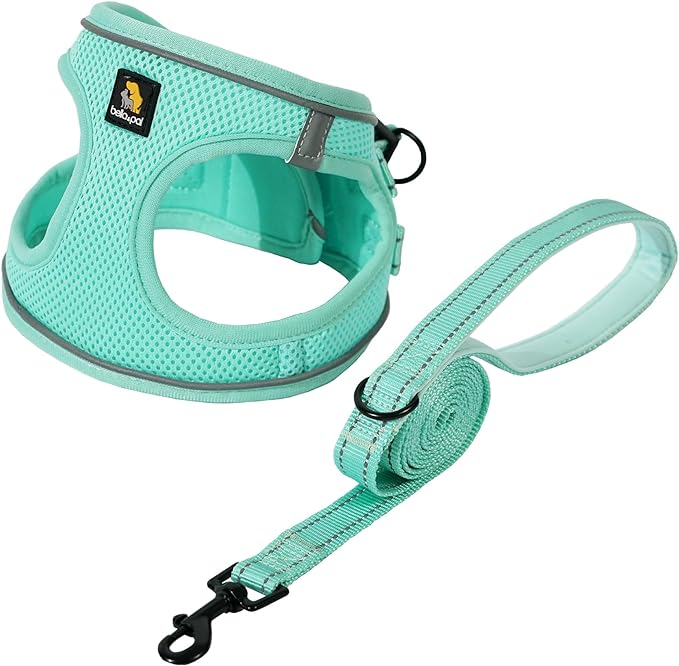 BELLA & PAL Small Dog Harness with Leash Set, Light Green, Size S, No Pull, Reflective Strips, Step-in Design