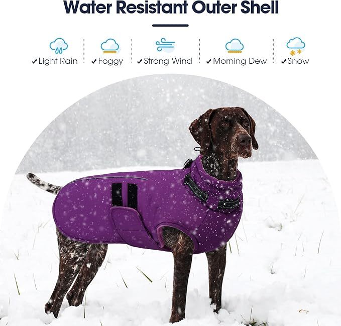 IECOii XXXL Dog Coat for Large Dogs Waterproof Dog Jacket with Collar Built in, Reflective Winter Jacket with Fleece Lined Warm Cold Weather Coats for Extra Large Dogs, Great Dane, Purple - 3XL