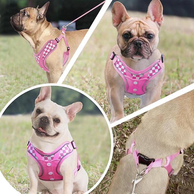 Fashion Lovely Dog Harness with Leash Set, No Pull Adjustable Step in Collars Frenchie Harness Vest for Medium Dogs Training and Running (M Pink)