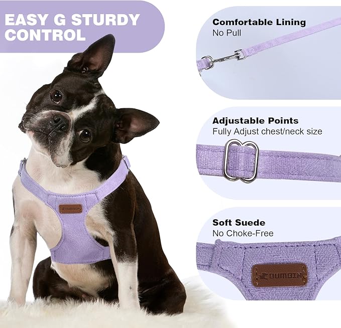Dog Harness and Leash Set, S No Pull Adjustable Puppy Harness with Multifunction Purple Dog Leash and Collar, Soft No Choke Escape Proof Pet Harness Vest for Small Dogs and Cats (Purple, S)