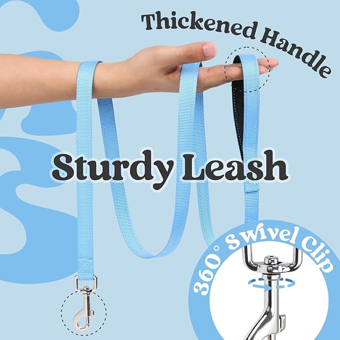 rabbitgoo Dog Harness Small Sized and Leash Set, Step-in Breathable Pet Harness, Soft Walking Reflective Puppy Vest for Small Dogs, Black & Light Blue, XXS