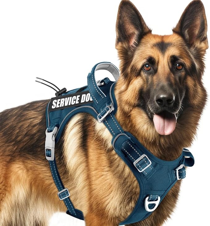 BARKBAY Service Dog Vest Tactical Dog Harness Medium Large Sized Dog Tags Personalized No Pull Adjustable Harness Reflective Working Training Easy Control Military Molle System(Legion Blue,L)