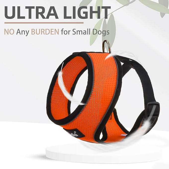 PUPTECK Soft Mesh Dog Harness and Leash Set Pet Puppy Cat Comfort Padded Vest No Pull Harnesses, Solid Orange, S