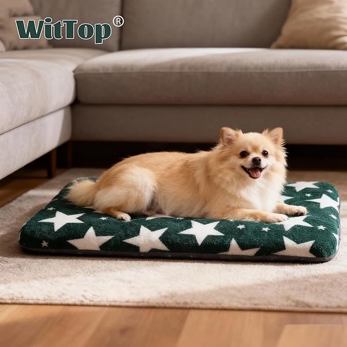 Washable Dog Bed Plush Orthopedic Outdoor Crate Mat with Non-Slip Bottom,Luxe Soft Kennel Pad for Pets, Cozy Cage Cushion & Pet Sleeping Mattress Large Sized,Medium,Small Dogs,30x20 inch,Green