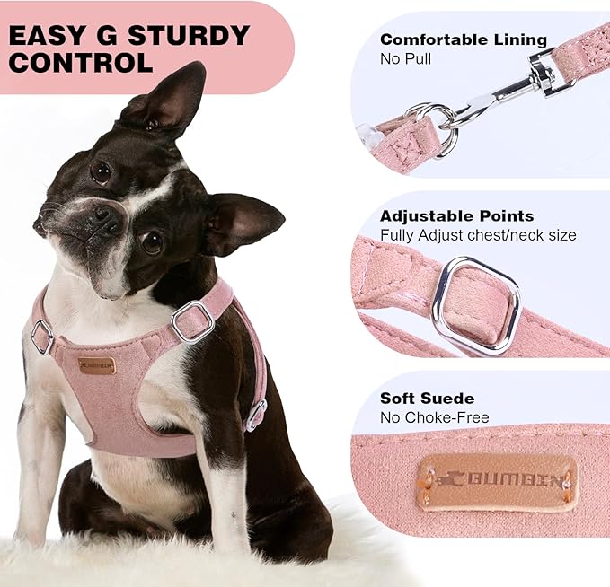 Dog Harness and Leash Set, XXS No Pull Adjustable Puppy Harness with Multifunction Pink Dog Leash and Dog Collar, Soft No Choke Escape Proof Pet Harness Vest for Small Dogs and Cats (Pink, XXS)