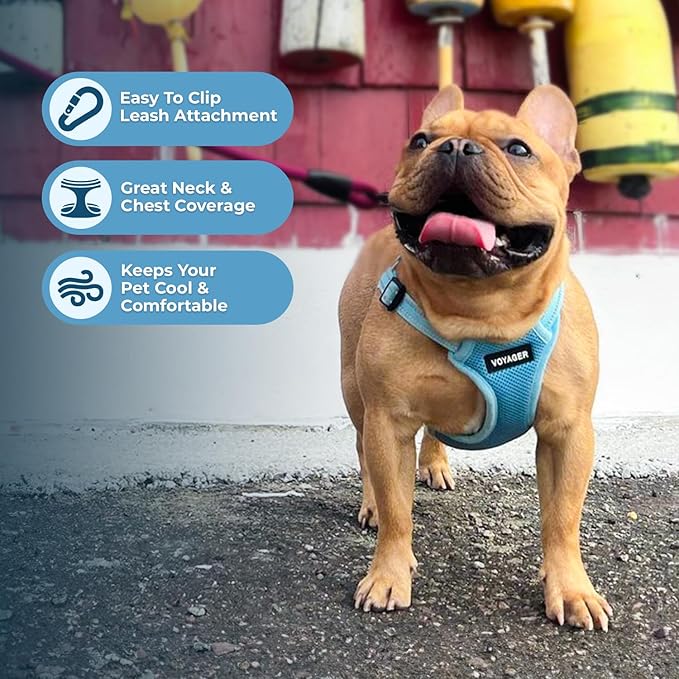 Best Pet Supplies Voyager Mesh Dog Breathable Harness Reflective Stitching, All Weather Adjustable for Walking Training, or Running - Heavy Duty & Durable, Harness (Baby Blue), XL