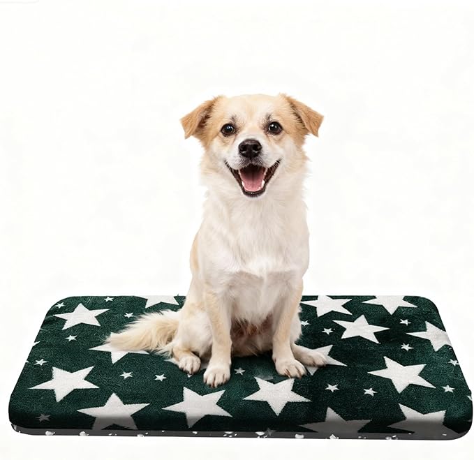 Washable Dog Bed Plush Orthopedic Outdoor Crate Mat with Non-Slip Bottom,Luxe Soft Kennel Pad for Pets, Cozy Cage Cushion & Pet Sleeping Mattress Large Sized,Medium,Small Dogs,30x20 inch,Green