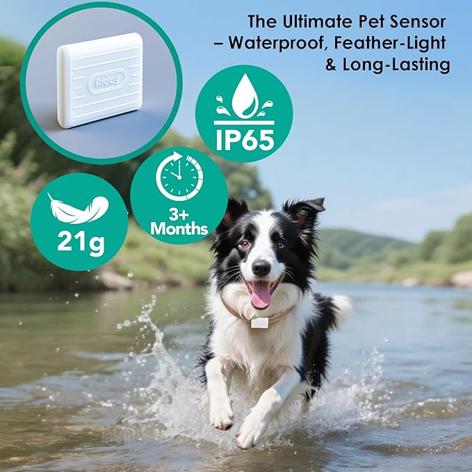 Automatic Dog Door with Collar Sensor, 2-Flap Electronic Large Dog Door for Door with Anti-Pinch, Mains-Powered, Timing Function, LCD Display, Metal Frame- L