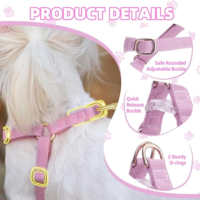 PUPTECK Dog Harness and Leash Set Small Sized, Step-in Cute Puppy Harness, Soft Lightweight Padded Vest, Escape Proof No Pull Pet Harnesses Easy for Walking, Purple, XXS