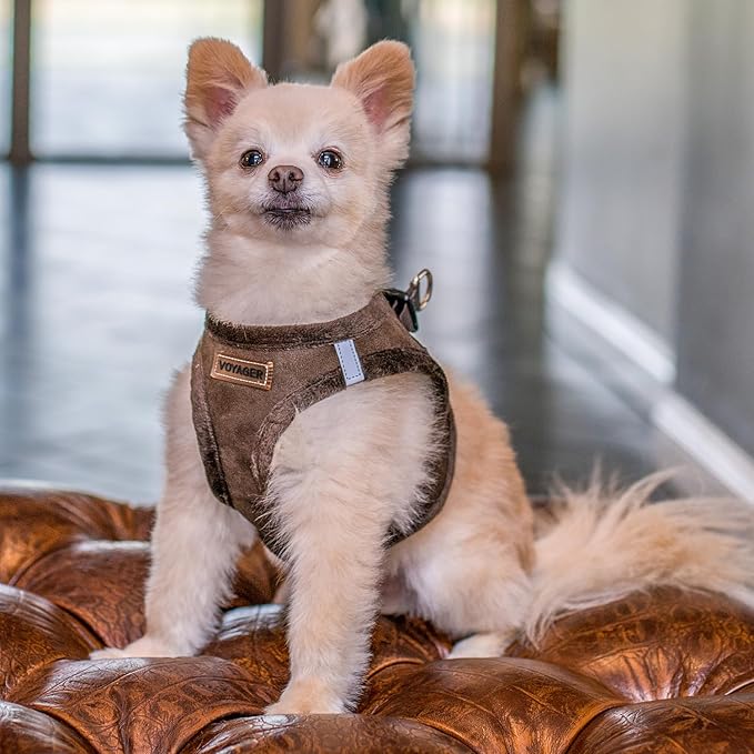 Best Pet Supplies - All Weather Mesh/Plush, Reflective, No Pull Harness for Small, Medium Dogs, Cats - Secure with Hook & Loop Fastener, Buckle, Double D-Rings - Chocolate Suede, XL