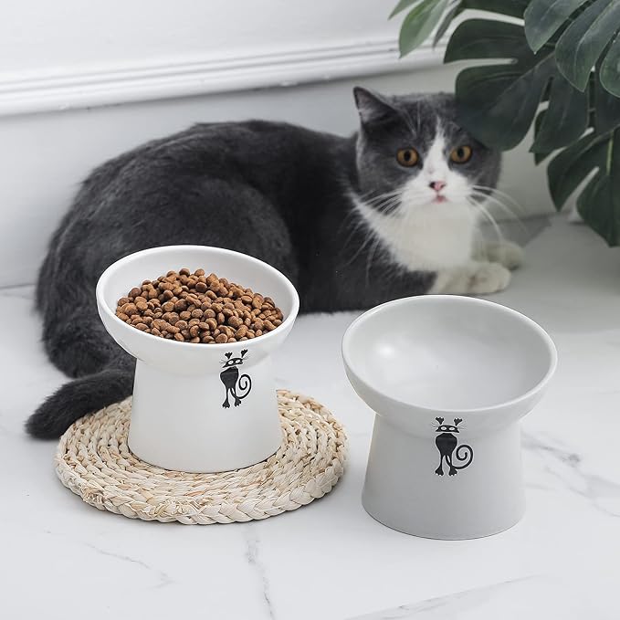 OMAYKEY Ceramic Raised Cat Bowls, Tilted Elevated Cat Food Bowl Set for Cat & Small Dog, Reduce Vomiting and Protect Pets' Spines Dishes Feeder, Lead & Cadmium Free, White & Grey, Set of 2