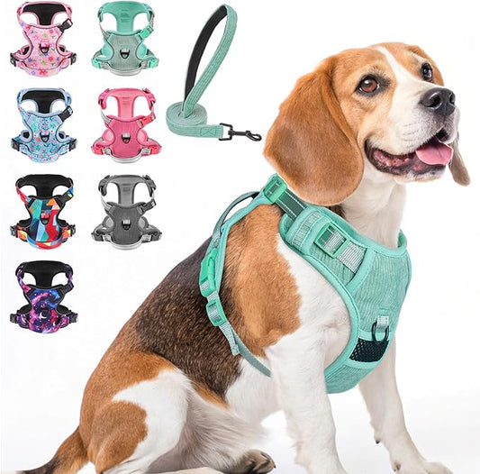 BEAUTYZOO No Pull Dog Harness, Adjustable Dog Harness and Leash Set -Easy Wearing with 3 Buckles/Control Handle,No Choke Soft Padded Reflective Pet Vest for Training Walking Hiking,Solid Aqua Blue M
