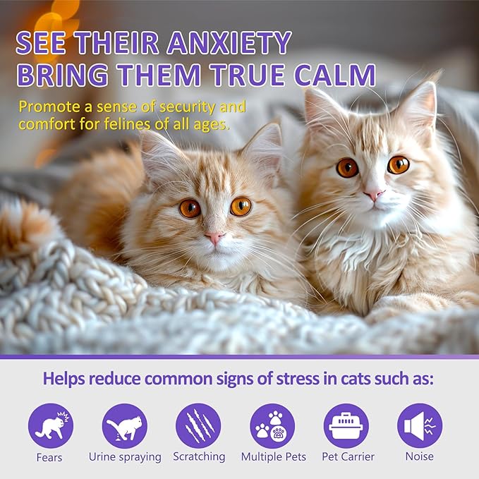 OcePor 1 Refill Solutions,1 Plugs- Cat Pheromones Calming Diffuser Refill, cat Diffuser Calming,pheromone Diffuser to Calm Cats,cat Anxiety Relief