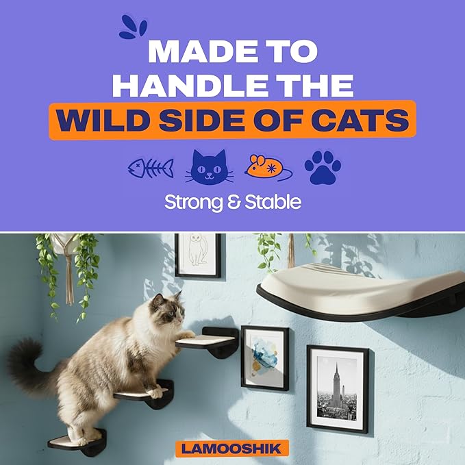 Cat Wall Shelves, Black Finish – Floating Cat Furniture with Curved Bed & Steps | Modern Minimalist Wood Climbing Shelves Set of 4 for Indoor Cats, Sturdy Wall-Mounted Design