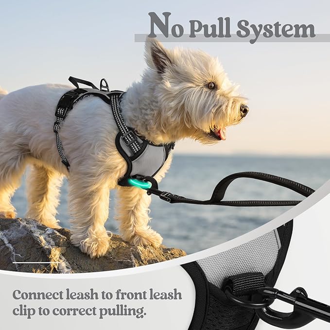 rabbitgoo Dog Harness No Pull with 2 Leash Clips, Adjustable Soft Padded, Reflective Oxford No Choke Pet Vest with Easy Control Handle for Puppy, Grey, XS