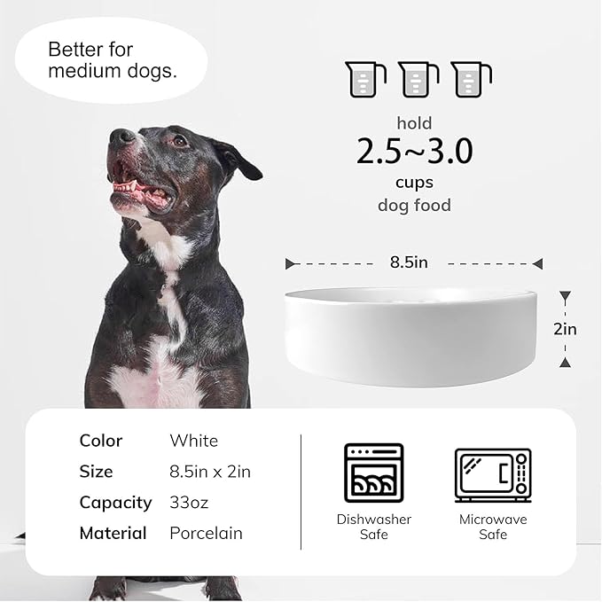 Slow Feeder,Ceramic-Slow Feeder Dog Bowls,Puzzle Food Bowl Maze,2.5 Cups Slow Feed Dog Bowl for Medium and Large Breed Dogs,White
