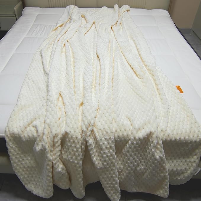 Water Resistant Blanket for Bed Couch Sofa, 60"x80" Reversible & Washable Microfiber Blanket, Queen Size Waterproof Throw, Pet Friendly & Leakproof (Snow White/Bright White)