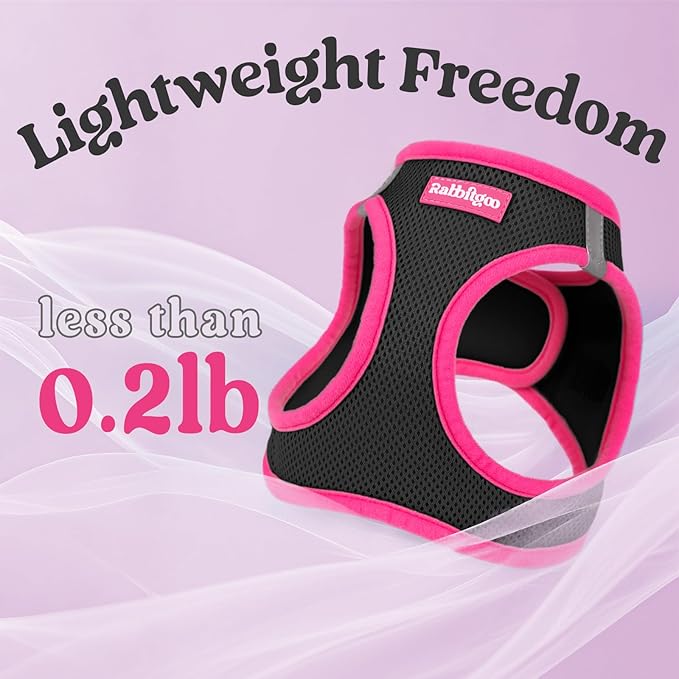 rabbitgoo Dog Harness Small Sized and Leash Set, Step-in Breathable Pet Harness, Soft Walking Reflective Puppy Vest for Small Dogs, Black & Rose Red, L