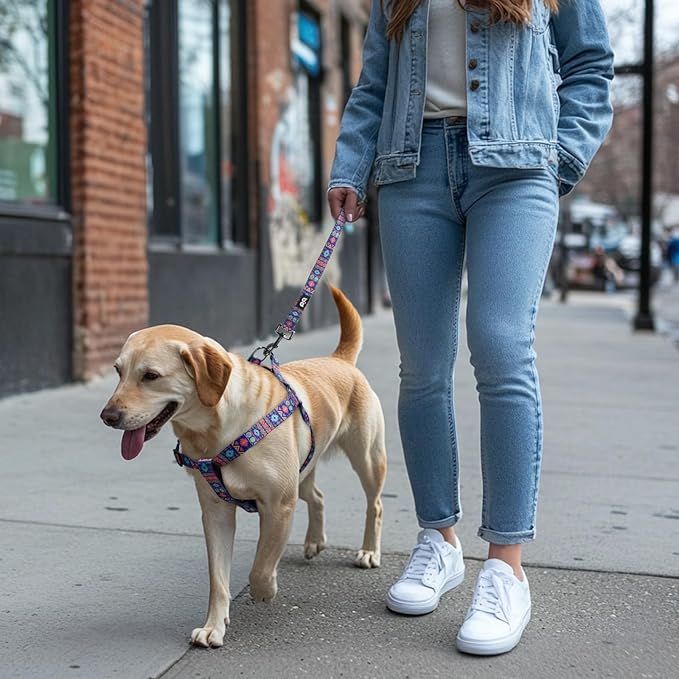 QQPETS Dog Harness Leash Set Adjustable Heavy Duty No Pull Halter Harnesses for Small Medium Large Breed Dogs Back Clip Anti-Twist Perfect for Walking