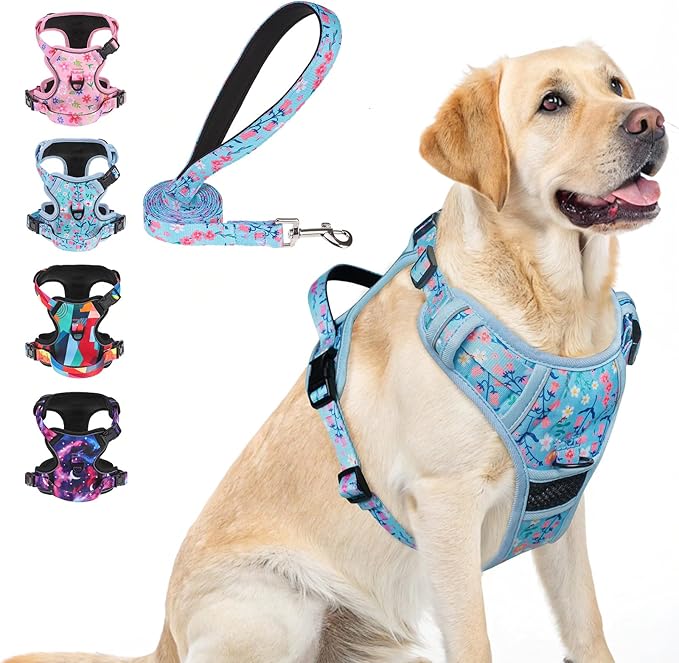 BEAUTYZOO No Pull Dog Harness Large, Adjustable Dog Harness and Leash Set -Easy Wearing with 3 Buckles/Control Handle,No Choke Soft Padded Reflective Pet Vest for Training Walking Hiking,Blue L