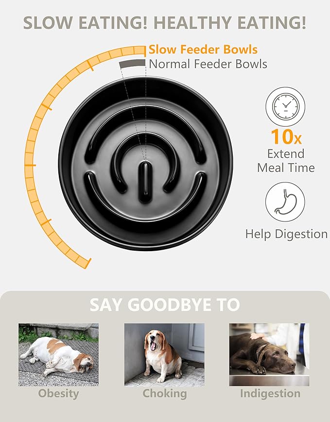 Ceramic Slow Feeder Dog Bowls, 0.6 Cup Slow Feeder for Small Dogs and Cats, Puzzle Maze Bowl, Prevents Choking, 6in, Black