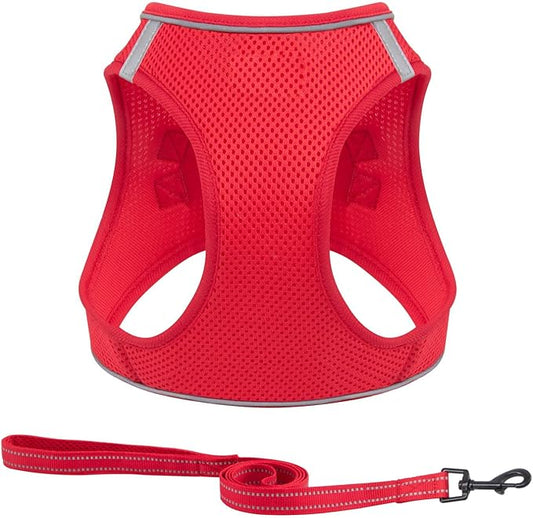Dog Harness and Leash Set, No Pull Mesh Puppy Harness for Small Medium Sized Dogs, Pet Vest for Walking Running Training, Double D-Rings Reflective Strip