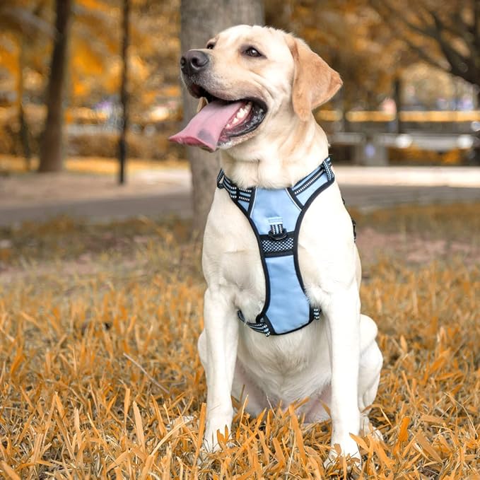 PoyPet No Pull Dog Harness, [Release on Neck] Reflective Adjustable No Choke Pet Vest with Front & Back 2 Leash Attachments, Soft Control Training Handle for Small Medium Large Dogs(Light Blue,M)