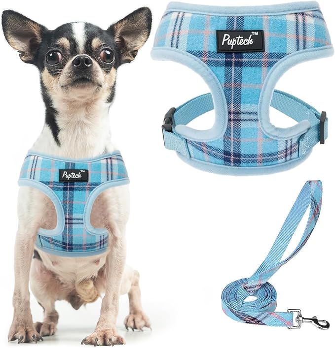 PUPTECK Soft Mesh Dog Harness and Leash Set Pet Puppy Cat Comfort Padded Vest No Pull Harnesses, Light Blue, XS