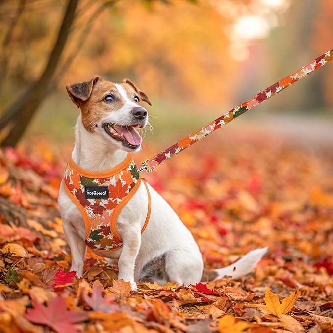 SCENEREAL Fall Dog Harness Collar and Leash Set for Small Dogs, Orange Leaf No Pull Dog Harnesses, Adjustable Step in Pet Vest for Doggie Puppy Cats Walking Outdoor, Chihuahua Yorkie Harness XS