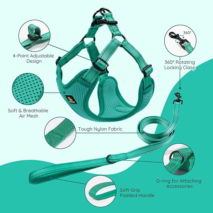 BELLA & PAL Adjustable Step-in Dog Harness, Puppy No-Pull Vest with Leash Set for XS/Small & Medium Dog, Breathable All-Weather Mesh, Reflective Strip, Secure Hook & Loop, Buckle Closure