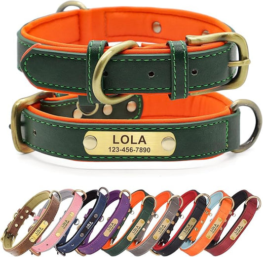 Personalized PU Leather Dog Collar with Custom Bronze Nameplate, Multi-Color, Soft Neoprene, Vintage Bronze Accessories, Optional Leash (Green, XS (8-11 Inches))