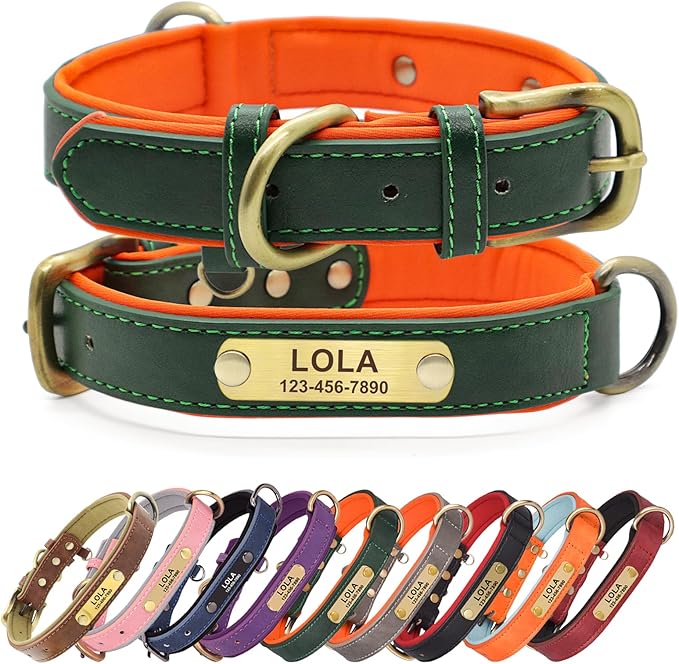 Personalized PU Leather Dog Collar with Custom Bronze Nameplate, Multi-Color, Soft Neoprene, Vintage Bronze Accessories, Optional Leash (Green, L (14-18 Inches))