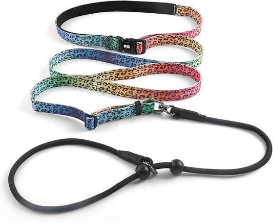 QQPETS Adjustable Slip Lead Dog Leash, Hands Free Waist Leash for Dog Walking, Reflective Training Lead with 360° Swivel Anti-Tangle, 4-7 ft Length for All Breeds