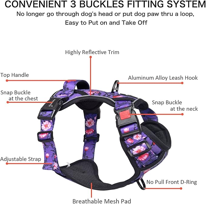 Petmolico No Pull Dog Harness Set with Leash Attachment Easy Control Handle Reflective Harness Vest Small Breed, Puppy Vest and Leash Set with Poop Bag Holder, XS - Purple Peach