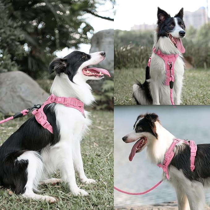 PoyPet No Pull Dog Harness and 5 Feet Leash Set, Release on Neck Reflective Adjustable Pet Vest, Front & Back 2 D-Ring and Soft Padded Pet Harness with Handle for Small to Large Dogs(Pink,S)