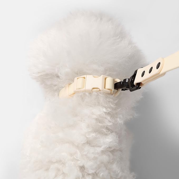 WLK1004L-5SET Luna Small 8FT Adjustable 6-in-1 Waterproof Hands-Free Leash and Collar with LED Flashlight, Bag Dispenser, and Poop Bag Holder, Bailey