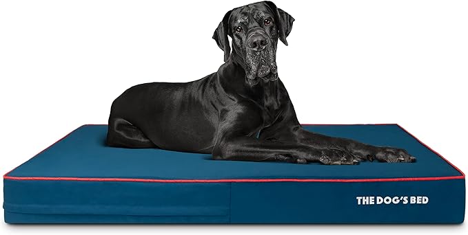 The Dog’s Bed Orthopedic Cooling Memory Foam Dog Bed, XXL Blue & Red Trim, Pain Relief for Arthritis, Hip & Elbow Dysplasia, Post Surgery, Lameness, Supportive, Washable Cover, Veterinary Approved